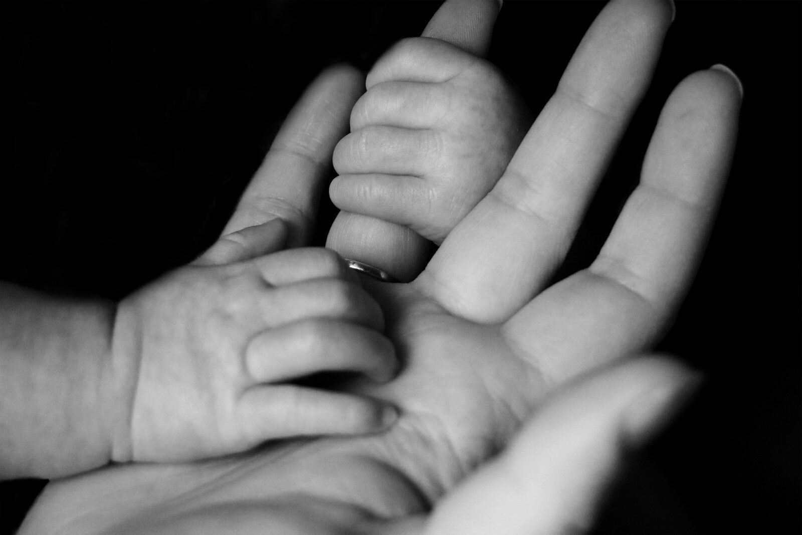 Can Employees Taking Unpaid FMLA Leave Prepay Their Medical Plan Coverage on a Pre-Tax Basis?